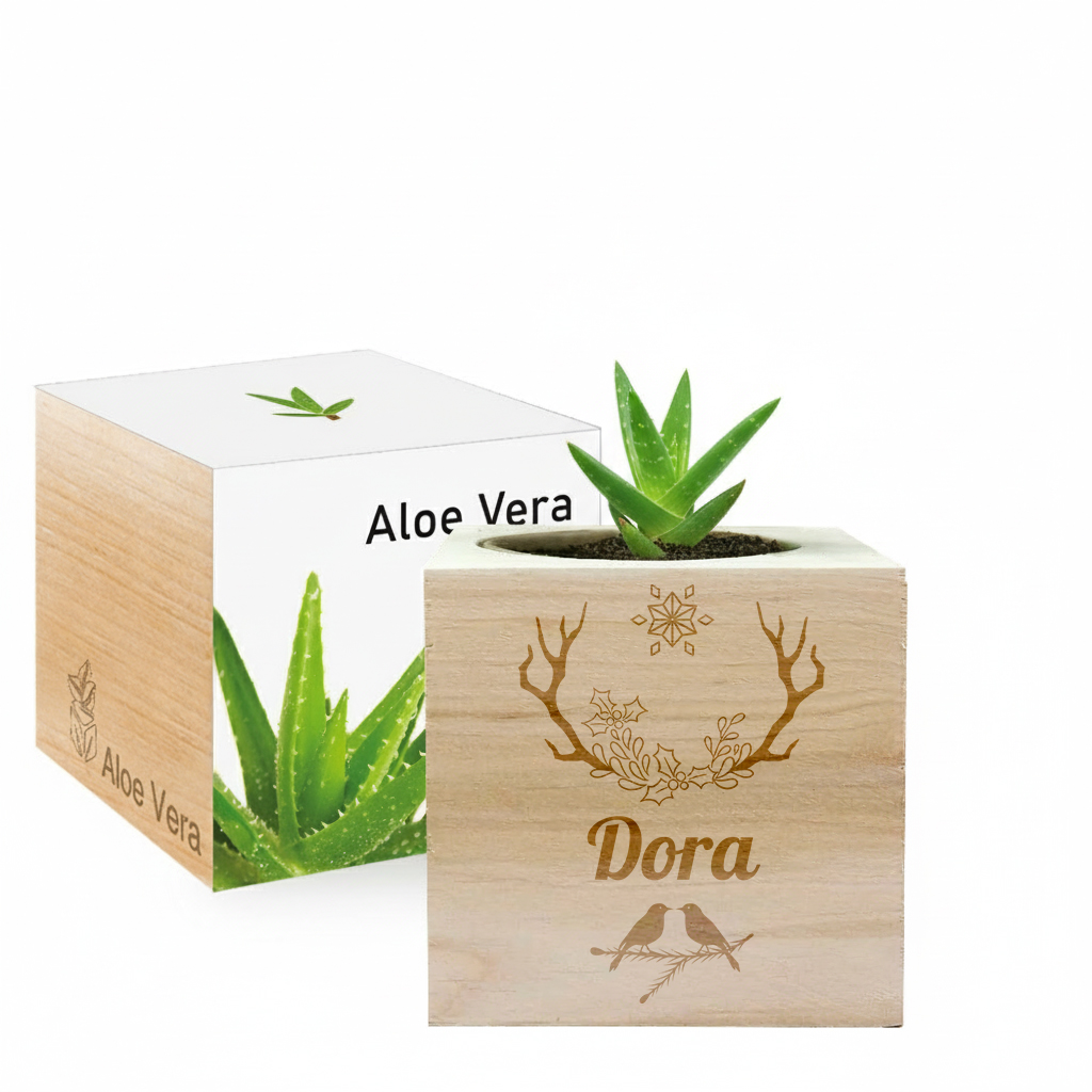 Engraved Ecocubes Engraved Ecocubes