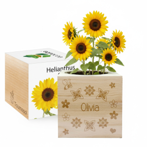 Custom EcoCube First Name Custom EcoCube First Name