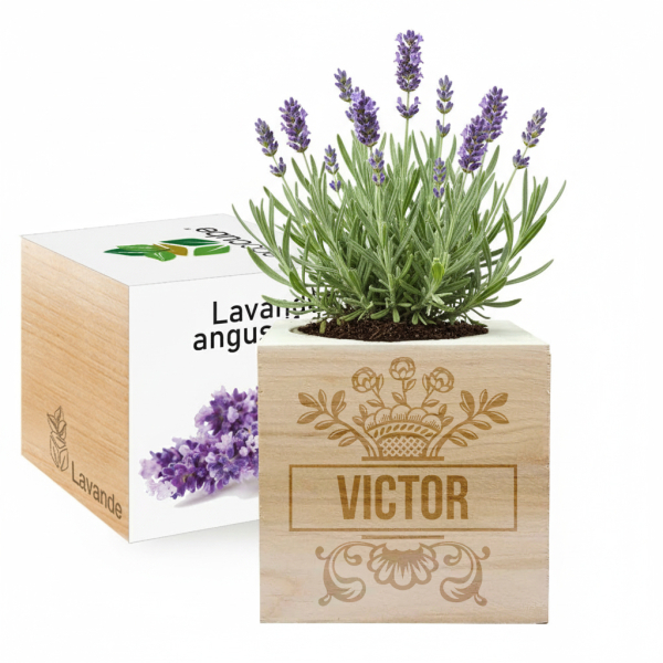 Custom EcoCube First Name Custom EcoCube First Name