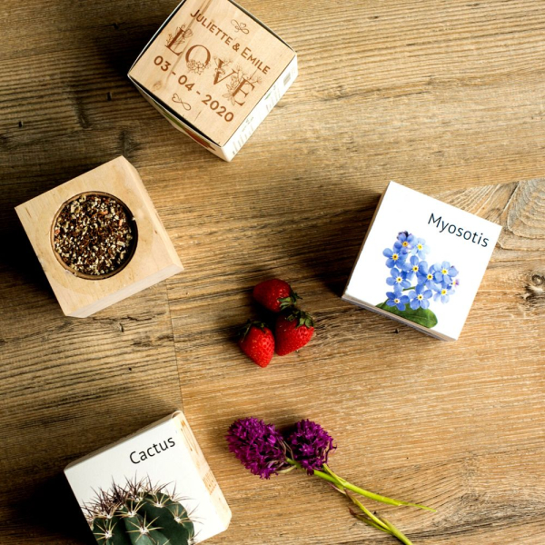 Custom Love EcoCube Custom Love EcoCube