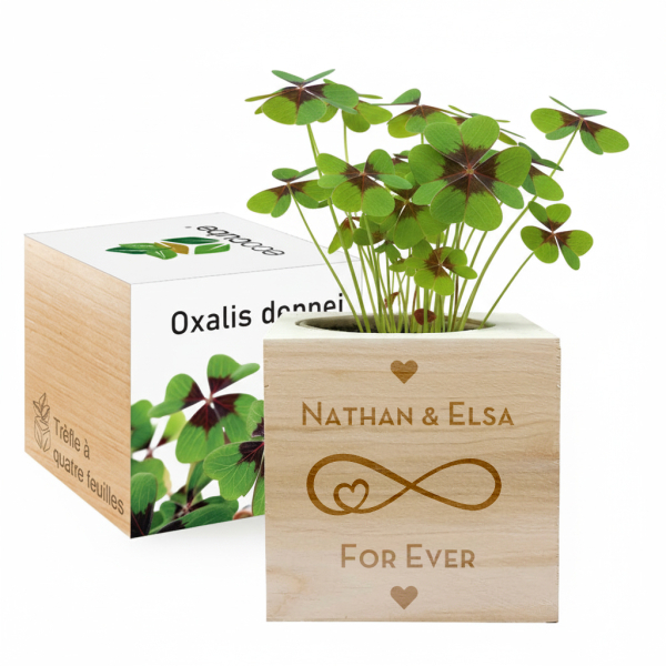 Custom Love EcoCube Custom Love EcoCube