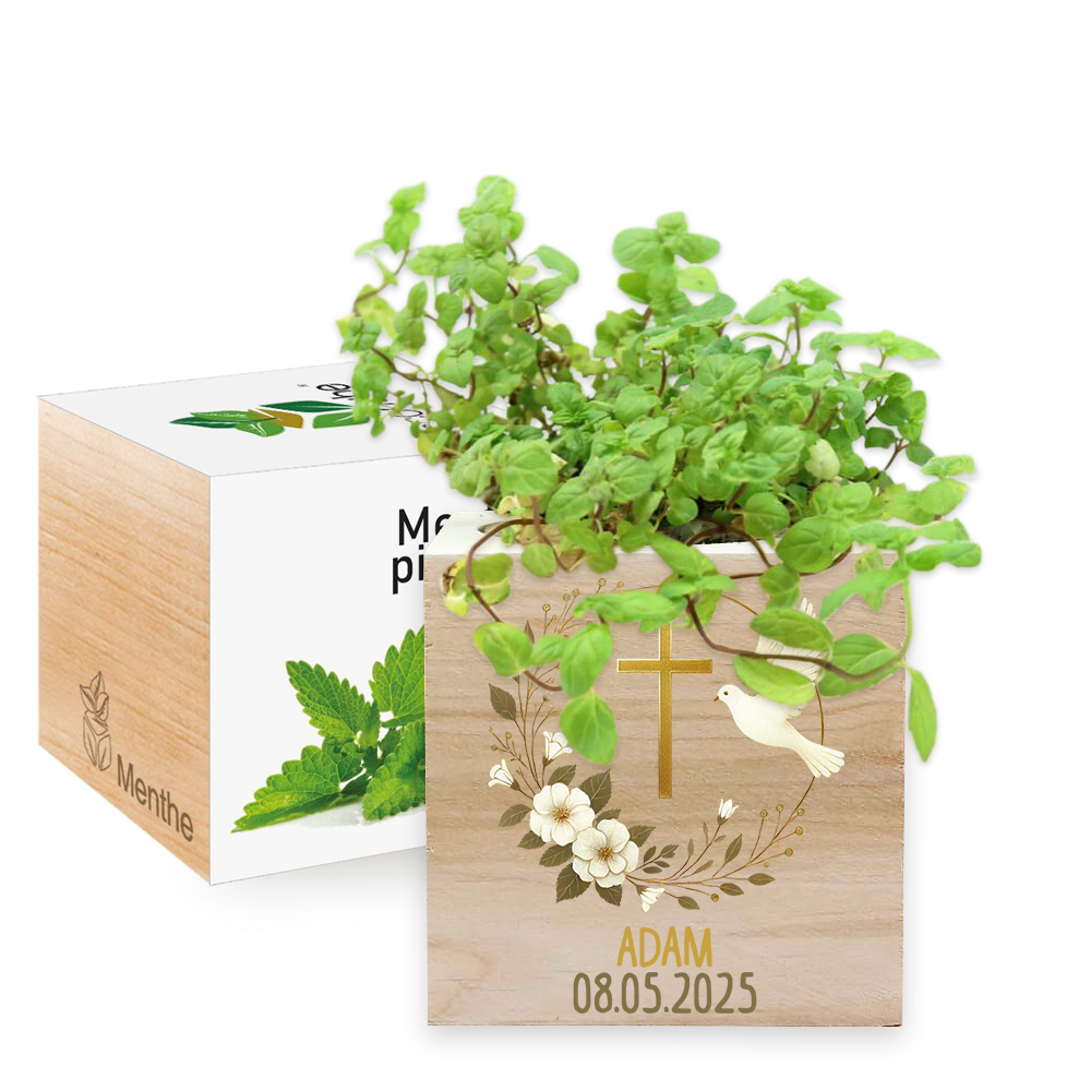Printed Ecocubes