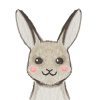Rabbit 