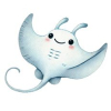 Manta ray