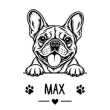 French Bulldog