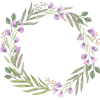 Violets