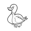 duckling