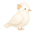 Dove