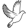 Dove