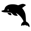 Dolphin