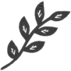 Branch