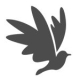 Dove