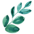 Green leaves