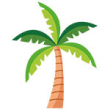 Palm tree