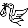 Stork