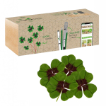 Lucky clover