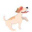 Dog1