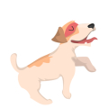 Dog1