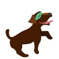 Dog3