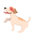 Dog4