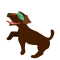 Dog6