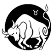 Bull