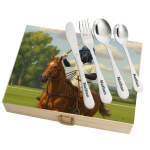 Cutlery set in a case