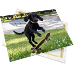 Canvas fabric on stretcher