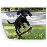 Poster without frame