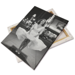 Canvas fabric on stretcher