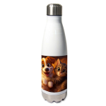 Insulated bottle