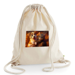 Leisure bag