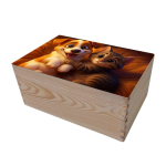 Wooden storage box