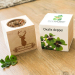 Custom EcoCube Deer Custom EcoCube Deer
