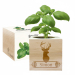 Custom EcoCube Deer Custom EcoCube Deer
