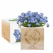 EcoCube engraved dove baptism