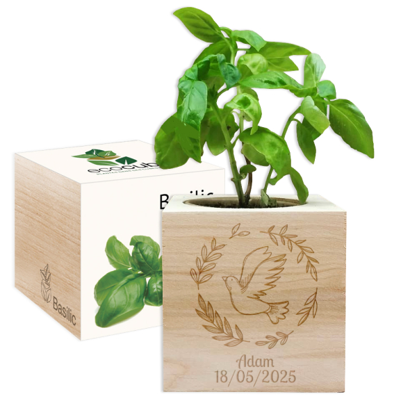 EcoCube engraved dove baptism
