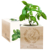 EcoCube engraved dove baptism