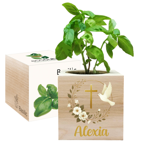 Printed EcoCube dove baptism