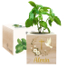 Printed EcoCube dove baptism