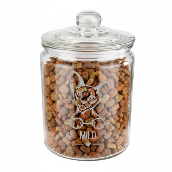 Engraved cat treat jar