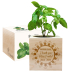 Engraved EcoCube for teacher circle of hands