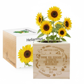Engraved EcoCube teacher appreciation