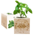 Engraved EcoCube Teacher Appreciation
