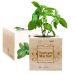 Engraved EcoCube Thank You Teacher