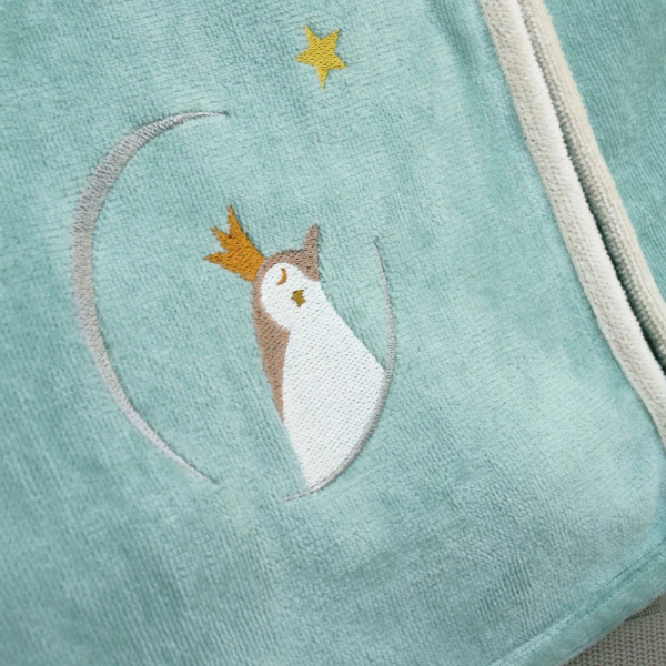 Personalized child bathrobe Green Penguin