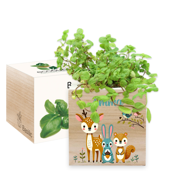 Printed EcoCube Enchanted Forest