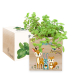 Printed EcoCube Enchanted Forest
