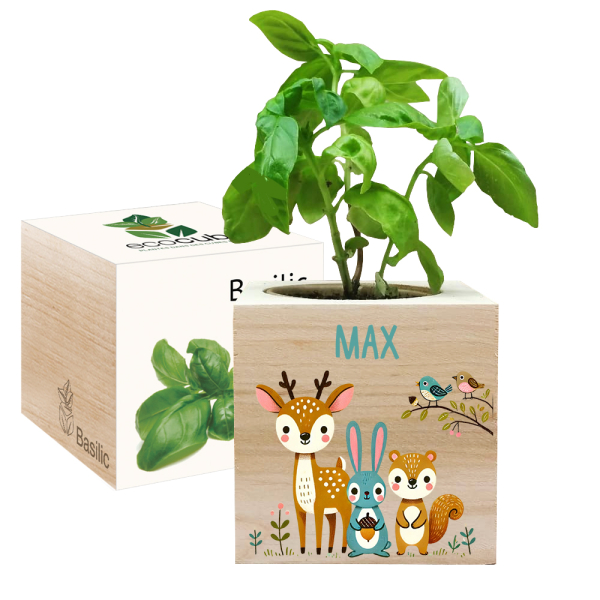 Printed EcoCube Enchanted Forest