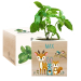Printed EcoCube Enchanted Forest